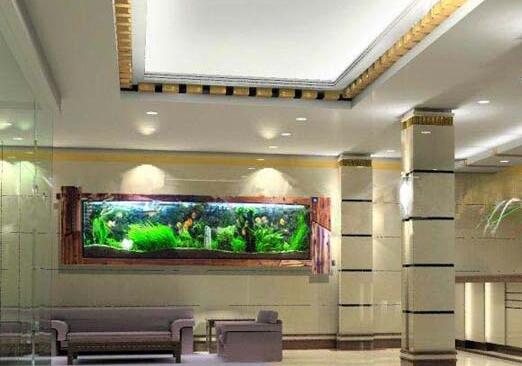 順酐對(duì)環(huán)境有哪些影響您知道嗎？